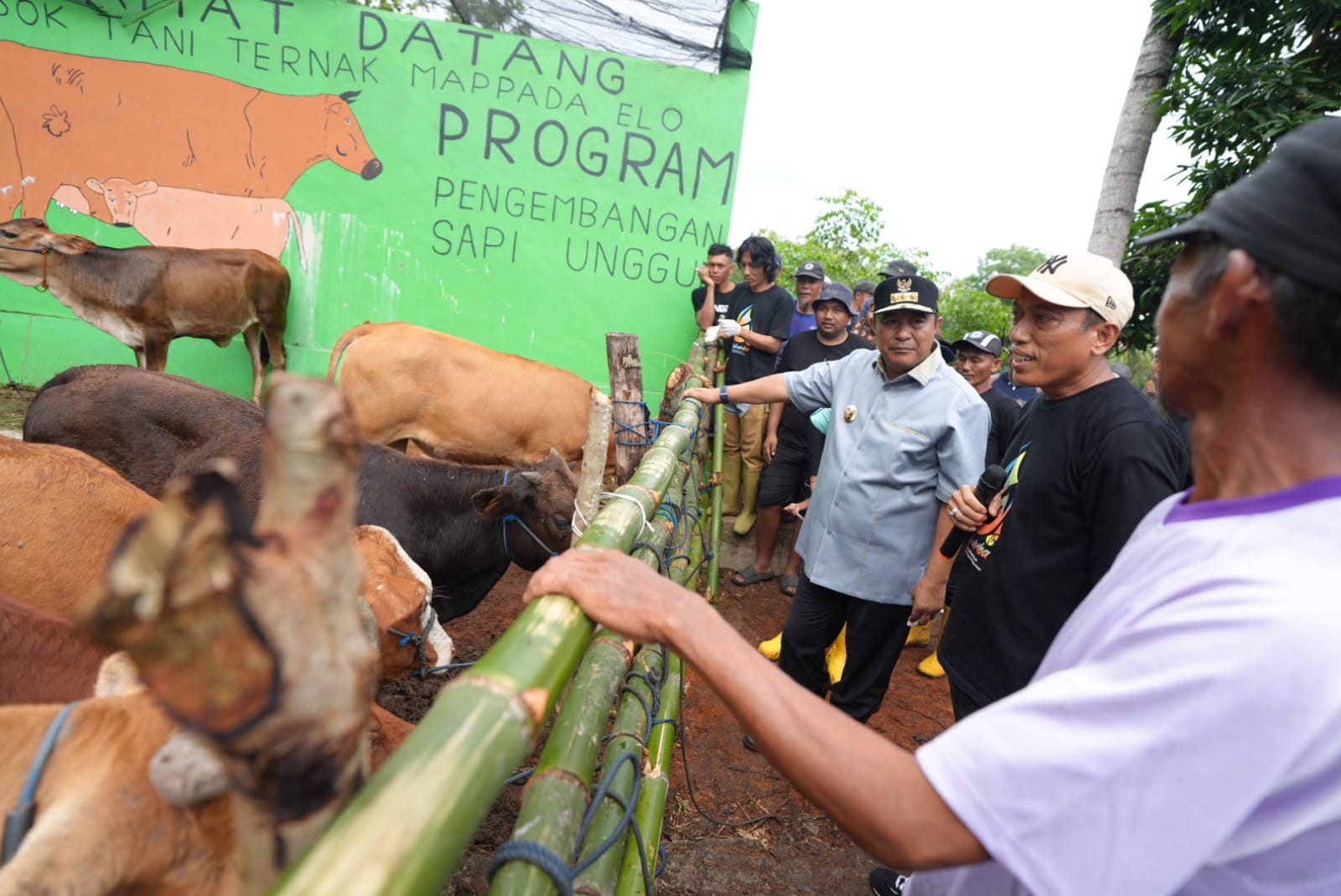 INSEMINASI BUATAN JADI HARAPAN BARU PETERNAK BULUKUMBA UNTUK TINGKATKAN PRODUKSI