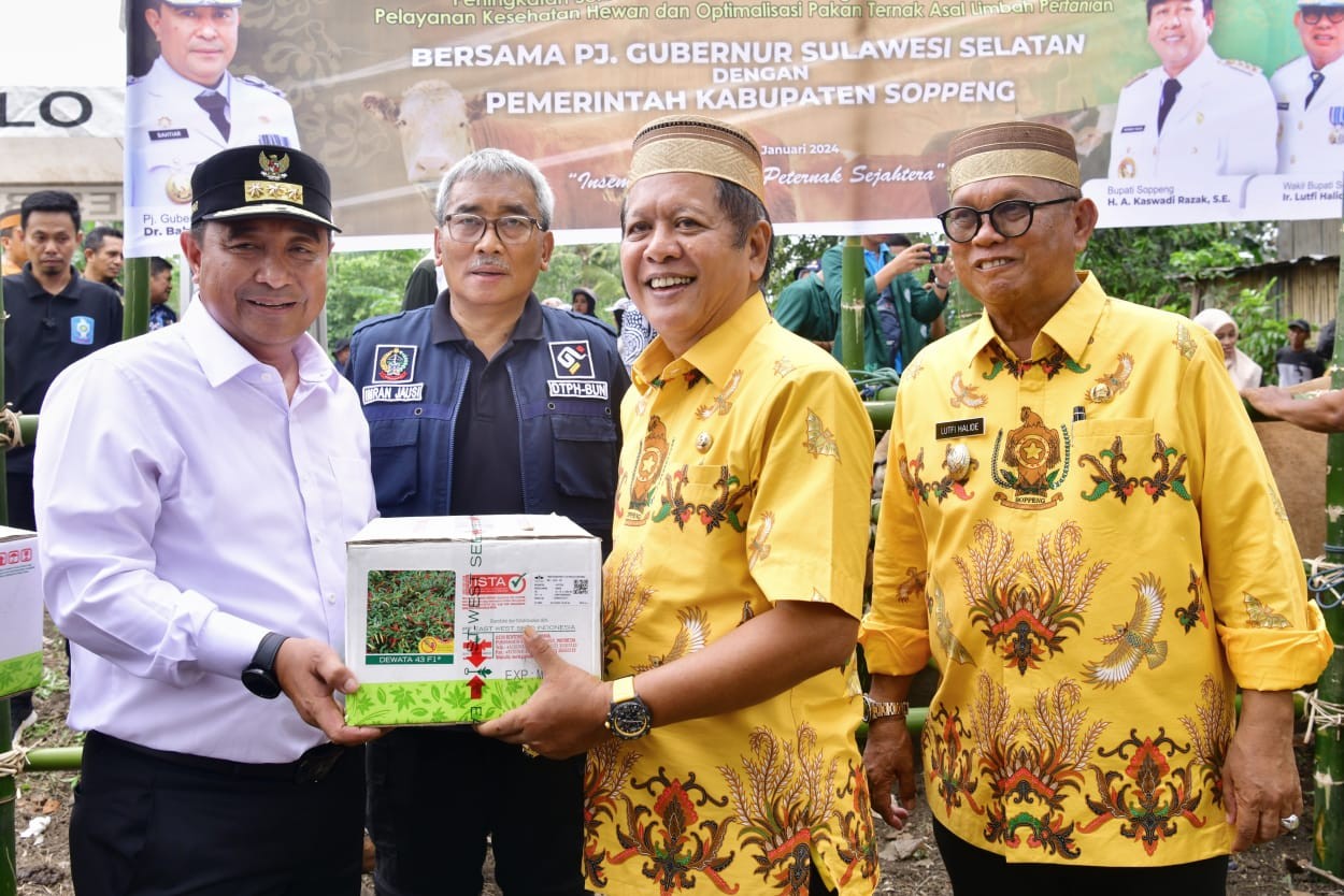 Pj. GUBERNUR SULSEL APRESIASI LANGKAH BUPATI SOPPENG SERTIFIKASI BIBIT CABAI TAMPANING