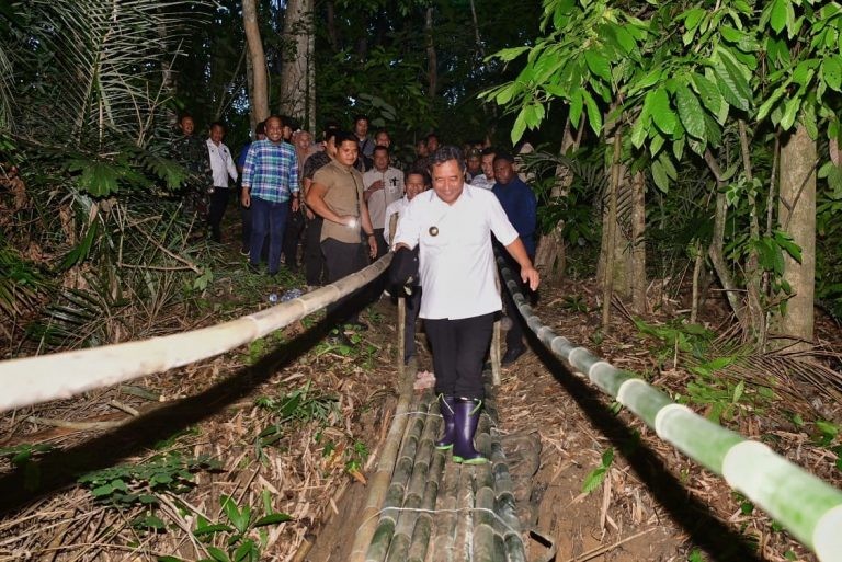 PERJUANGAN PJ GUBERNUR BAHTIAR GALAKKAN BUDIDAYA PISANG CAVENDISH